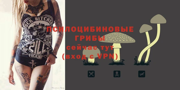 прущие крисы Арсеньев