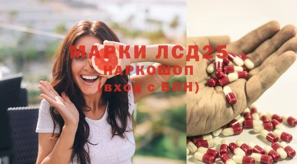 прущие крисы Арсеньев